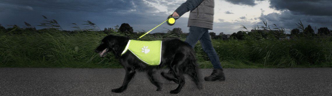 Je hond uitlaten in het donker